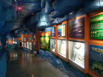 获评镇馆之宝要符合什么条件?大河网记者专访河南自然博物馆馆长徐莉