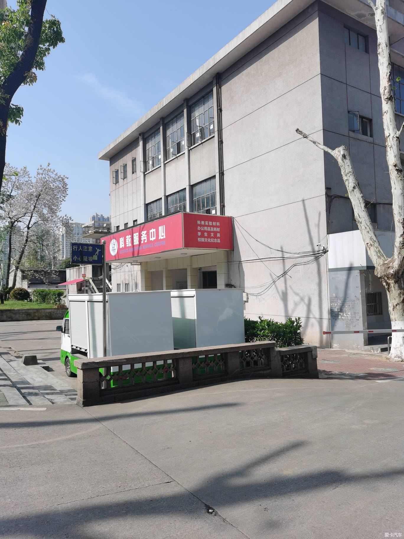 【春与夏之精】华中科技大学的梧桐树都剪枝了