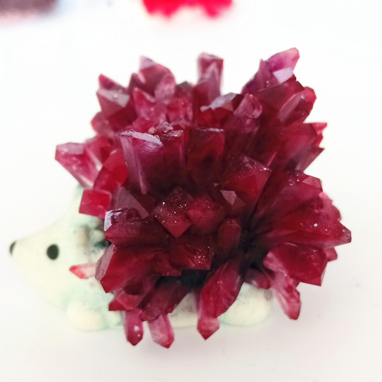 魔法刺猬晶石种植 科学与幻想交织的科教文具新宠